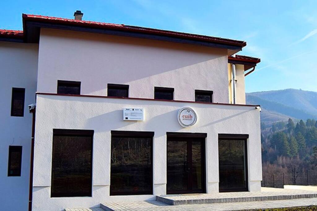 Pensiunea Cuib Kisdisznód Kültér fotó
